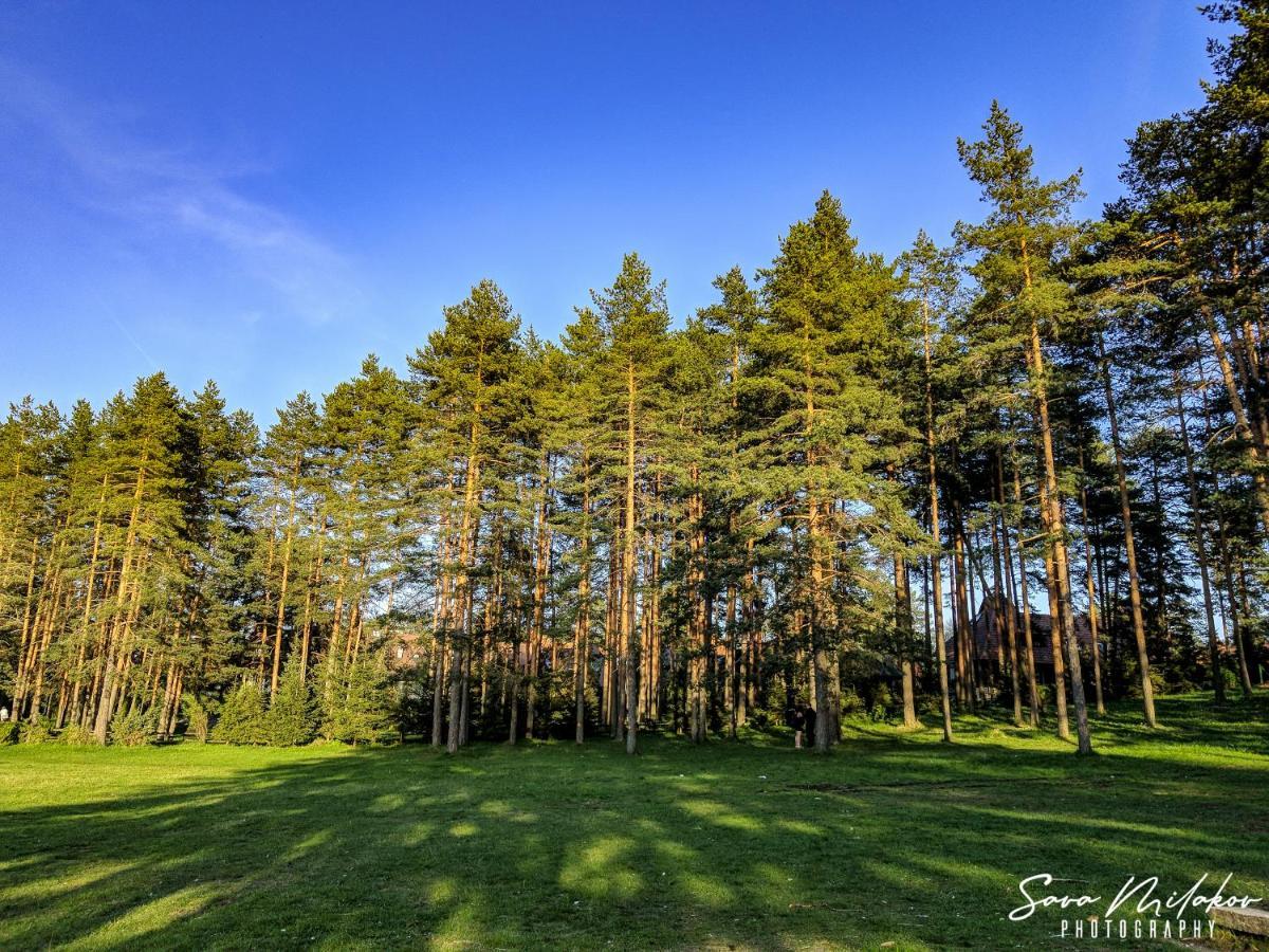 Apartment Buzzstays - Spa & Wellness - Privately Managed Zlatibor
